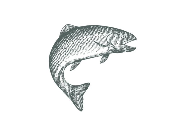 trout woodcut